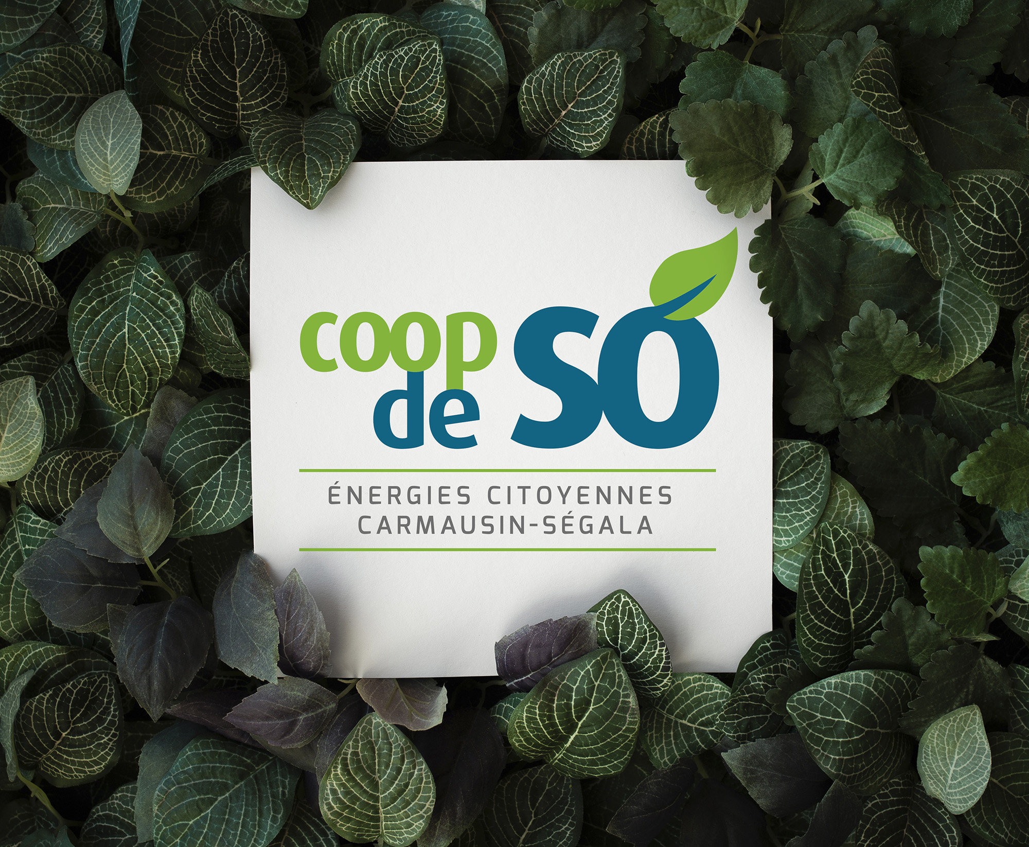 Coop de Sò – réalisation de l’agence New Box